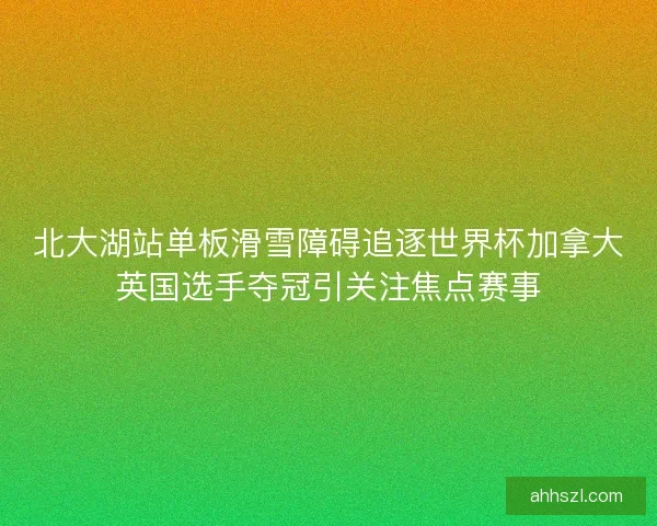北大湖站单板滑雪障碍追逐世界杯加拿大英国选手夺冠引关注焦点赛事